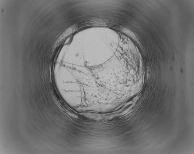 X0000066090349200604071802