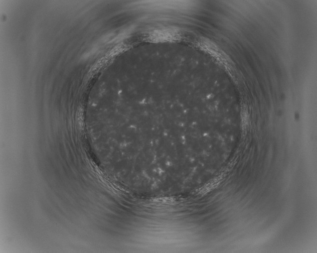 X0000066090353200604071802