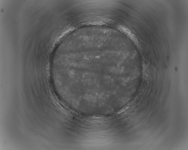 X0000066090354200604071802