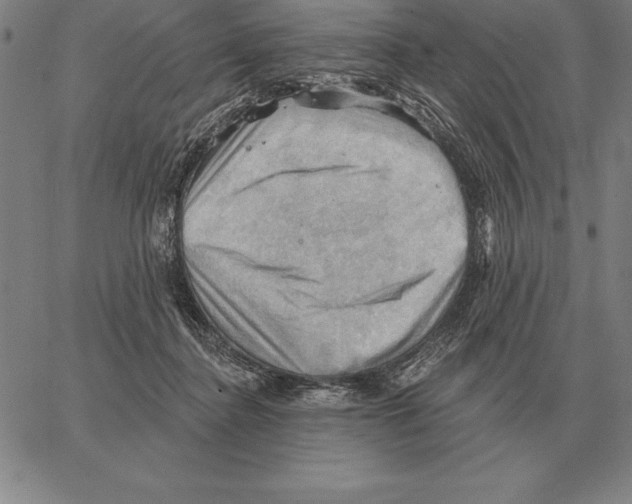 X0000066090364200604071802