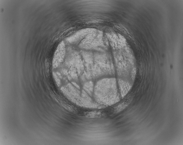 X0000066090366200604071802