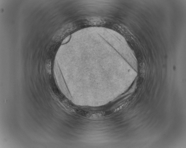 X0000066090368200604071803