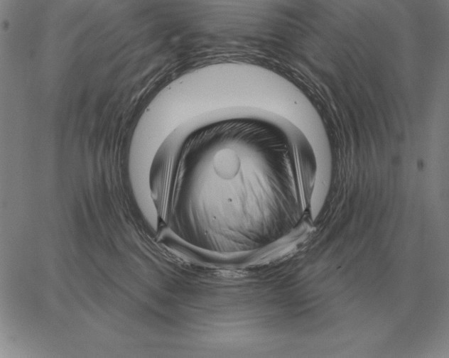 X0000066090376200604071803