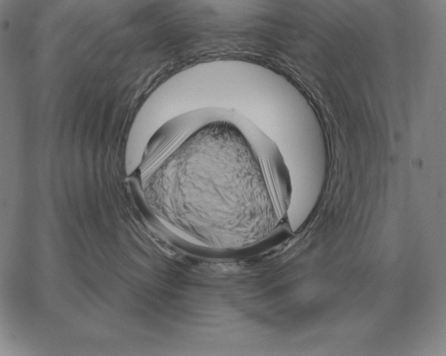 X0000066090384200604071803