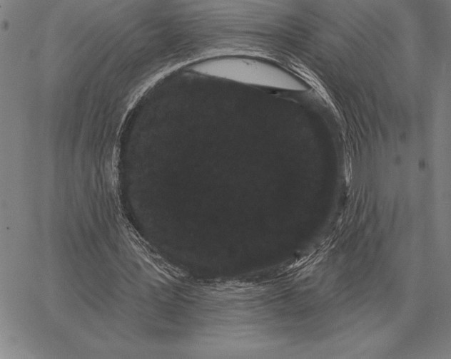 X0000066090387200604071802