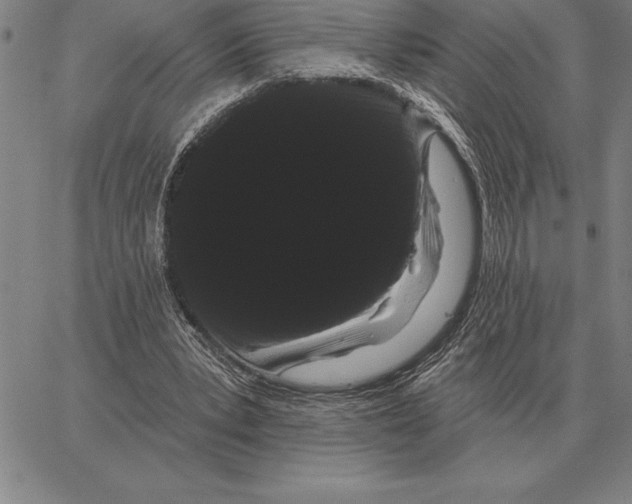 X0000066090391200604071802