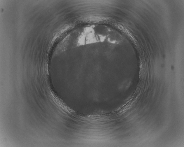 X0000066090399200604071802