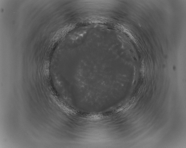 X0000066090402200604071802