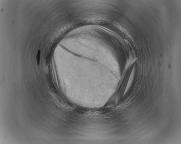 X0000066090403200604071802