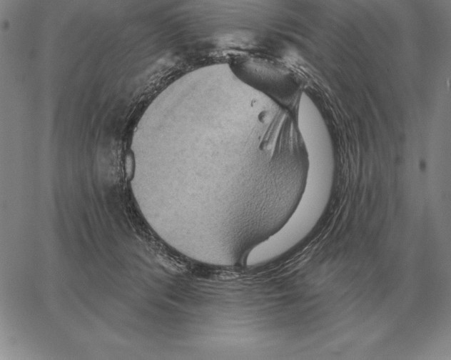X0000066090416200604071801