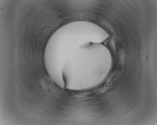 X0000066090417200604071801