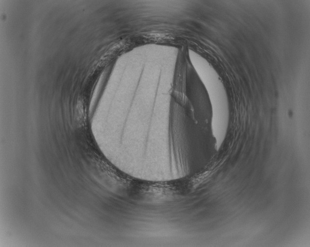 X0000066090420200604071801