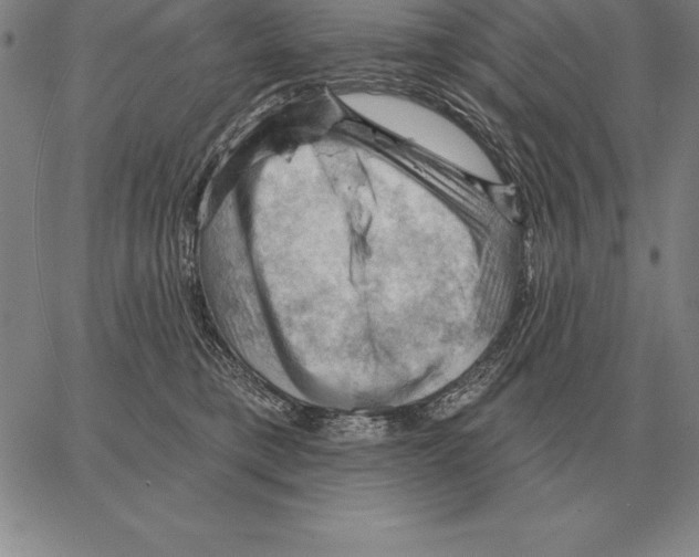 X0000066090421200604071801