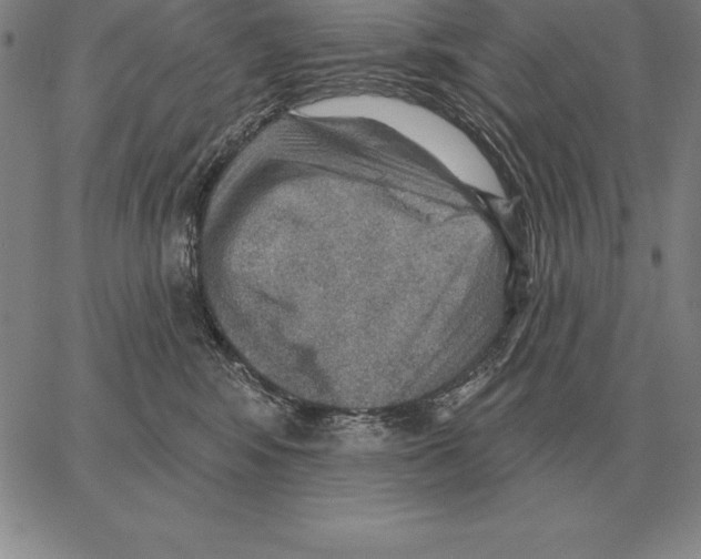 X0000066090424200604071801