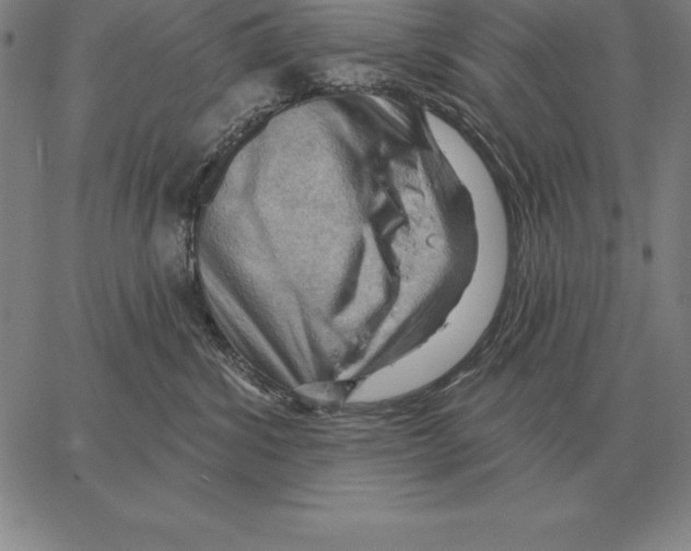 X0000066090428200604071801