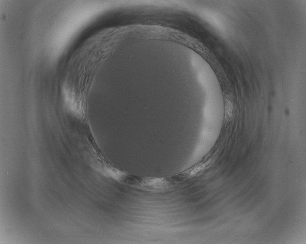 X0000066090431200604071801