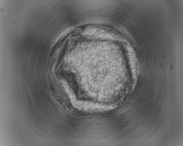 X0000066090434200604071800