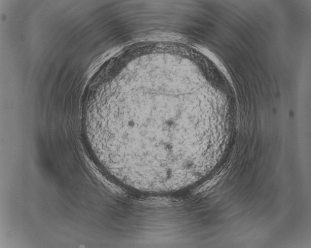X0000066090437200604071801