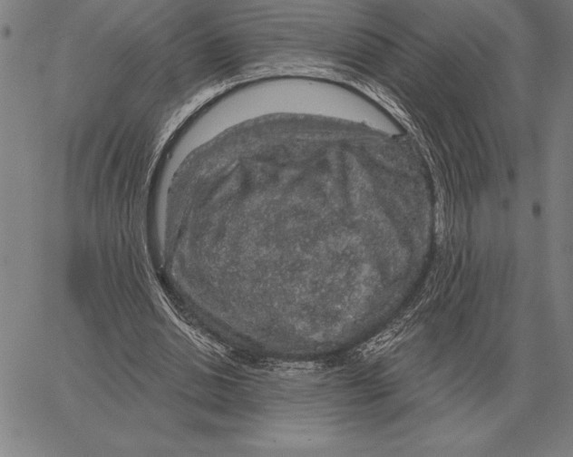 X0000066090438200604071801