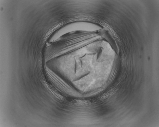 X0000066090442200604071801