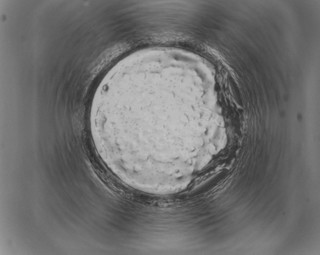 X0000066090443200604071801