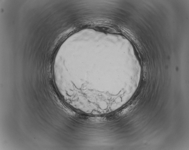 X0000066090453200604071801