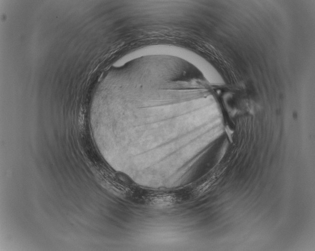 X0000066090456200604071801