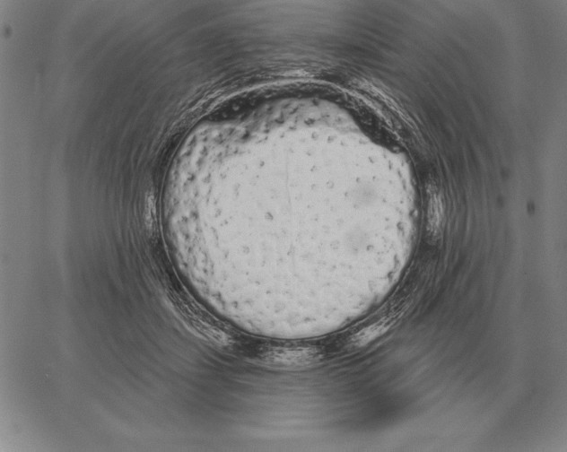 X0000066090459200604071801