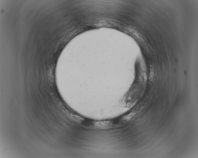 X0000066090461200604071801
