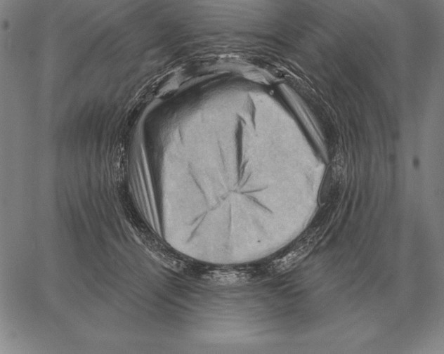 X0000066090464200604071801