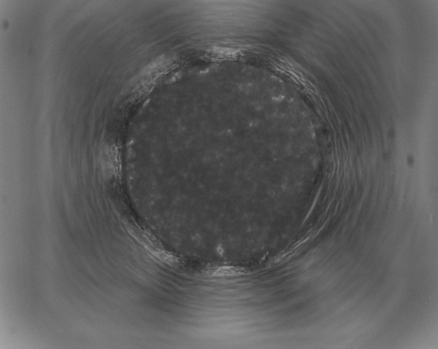 X0000066090467200604071801