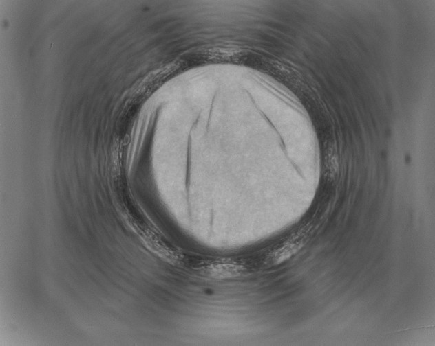 X0000066090468200604071801