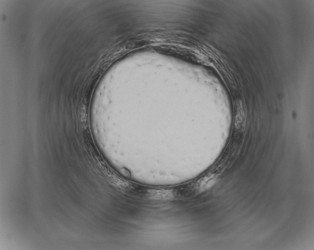 X0000066090469200604071801