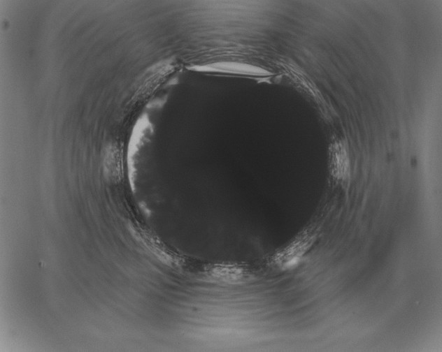 X0000066090471200604071801