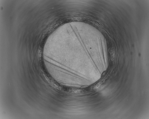 X0000066090472200604071801