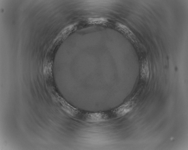 X0000066090473200604071801