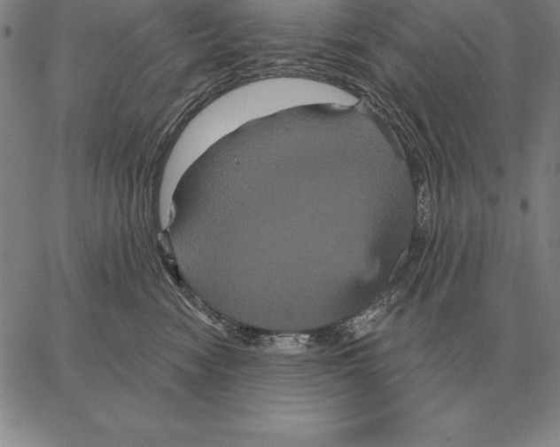 X0000066090474200604071801