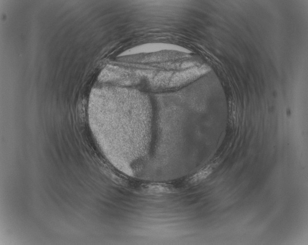 X0000066090475200604071801