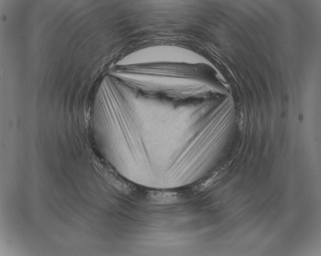 X0000066090476200604071801