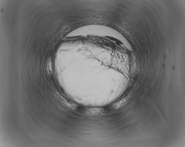 X0000066090479200604071801