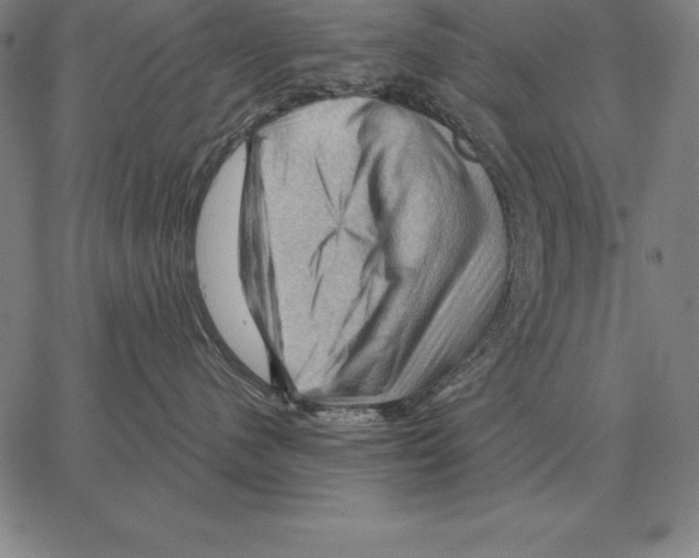 X0000066090480200604071801