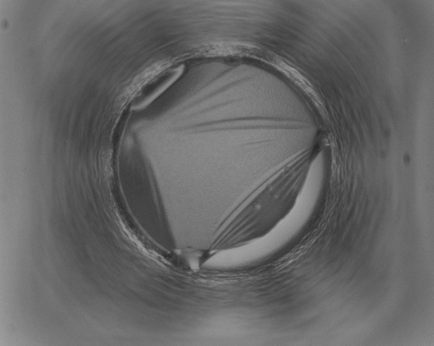 X0000066090485200604071800