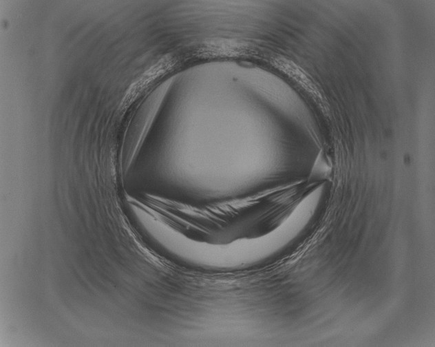 X0000066090489200604071800