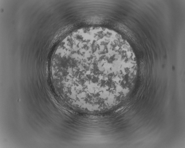 X0000066090494200604071800