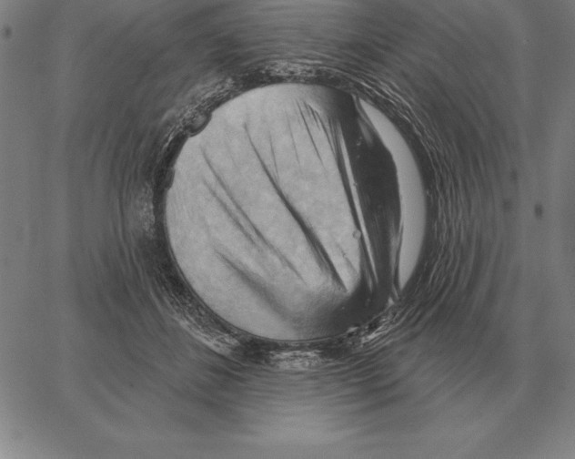 X0000066090508200604071800