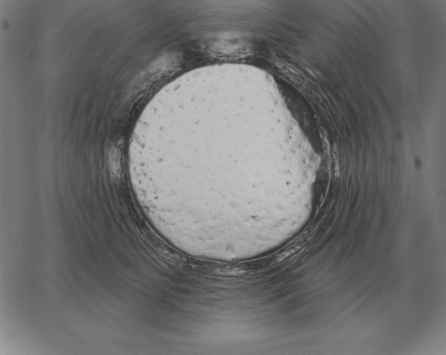 X0000066090515200604071800