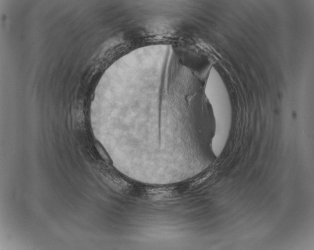 X0000066090516200604071800