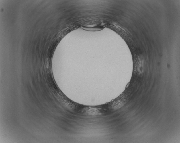 X0000066090518200604071800