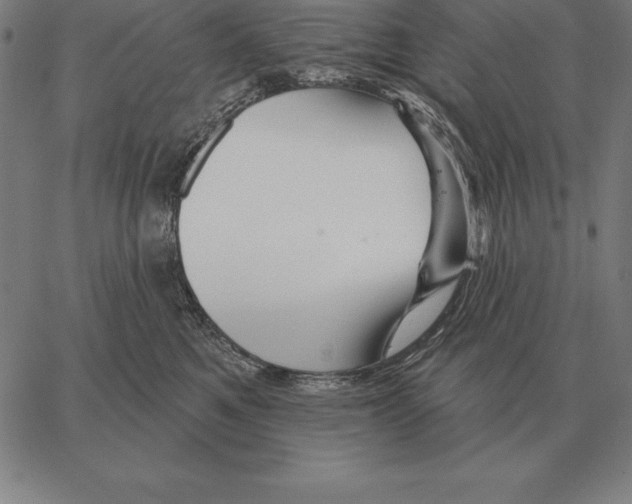 X0000066090521200604071800