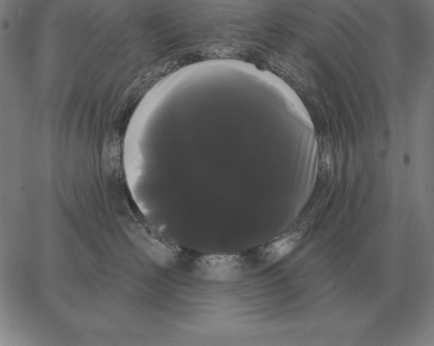 X0000066090526200604071800